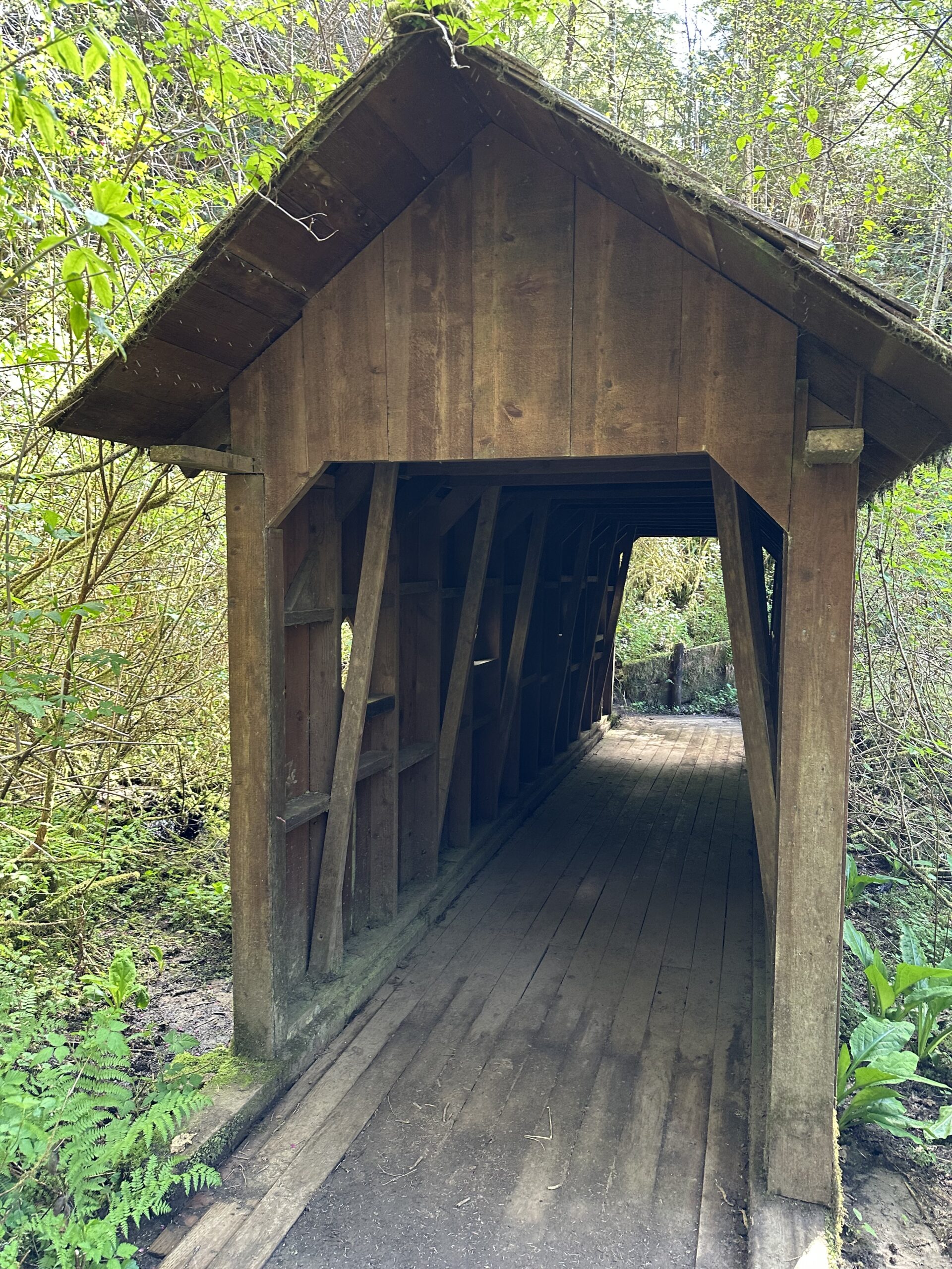 Lake Sylvia covered bridge on hiking trail