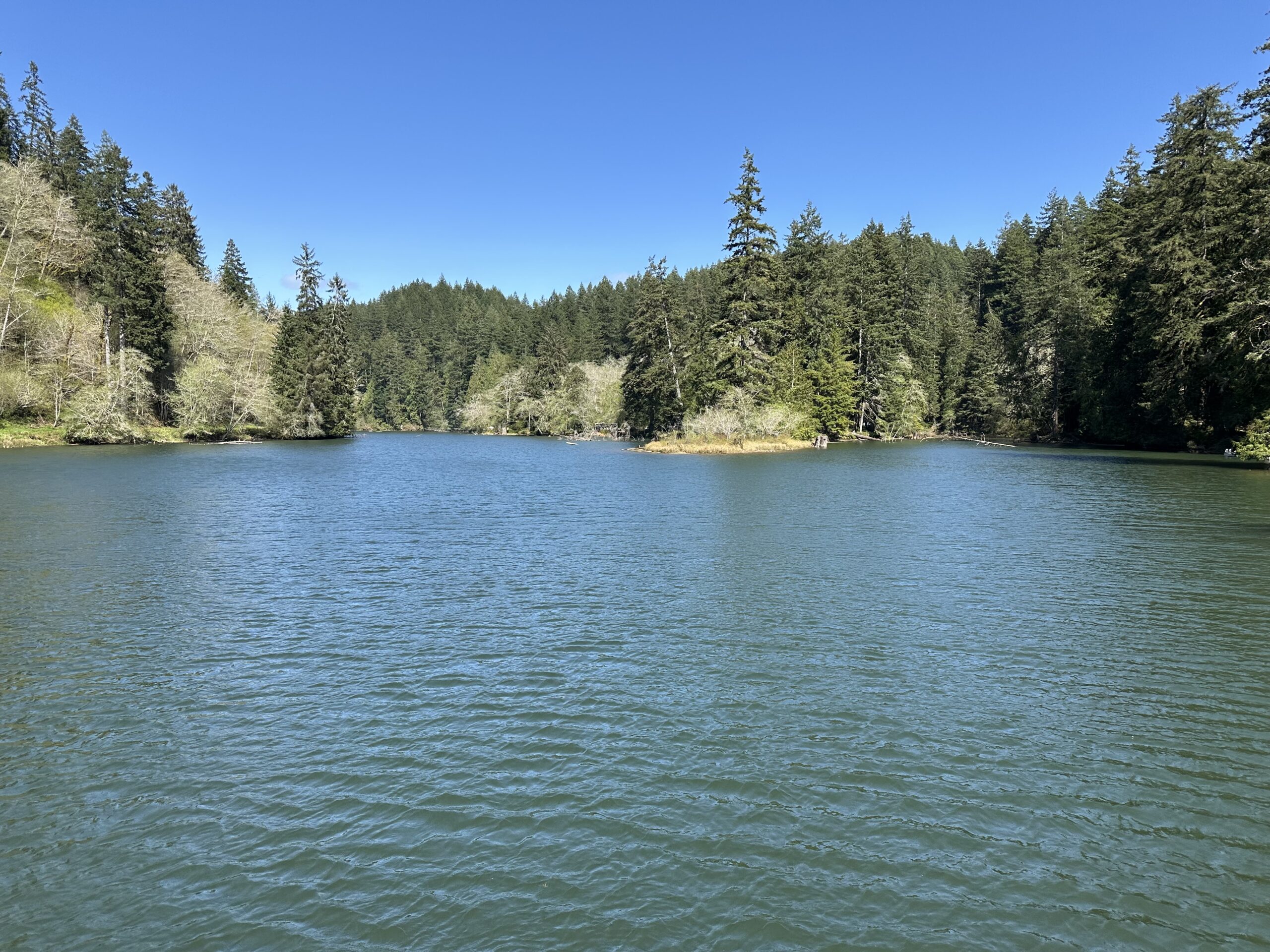 Lake Sylvia looking north